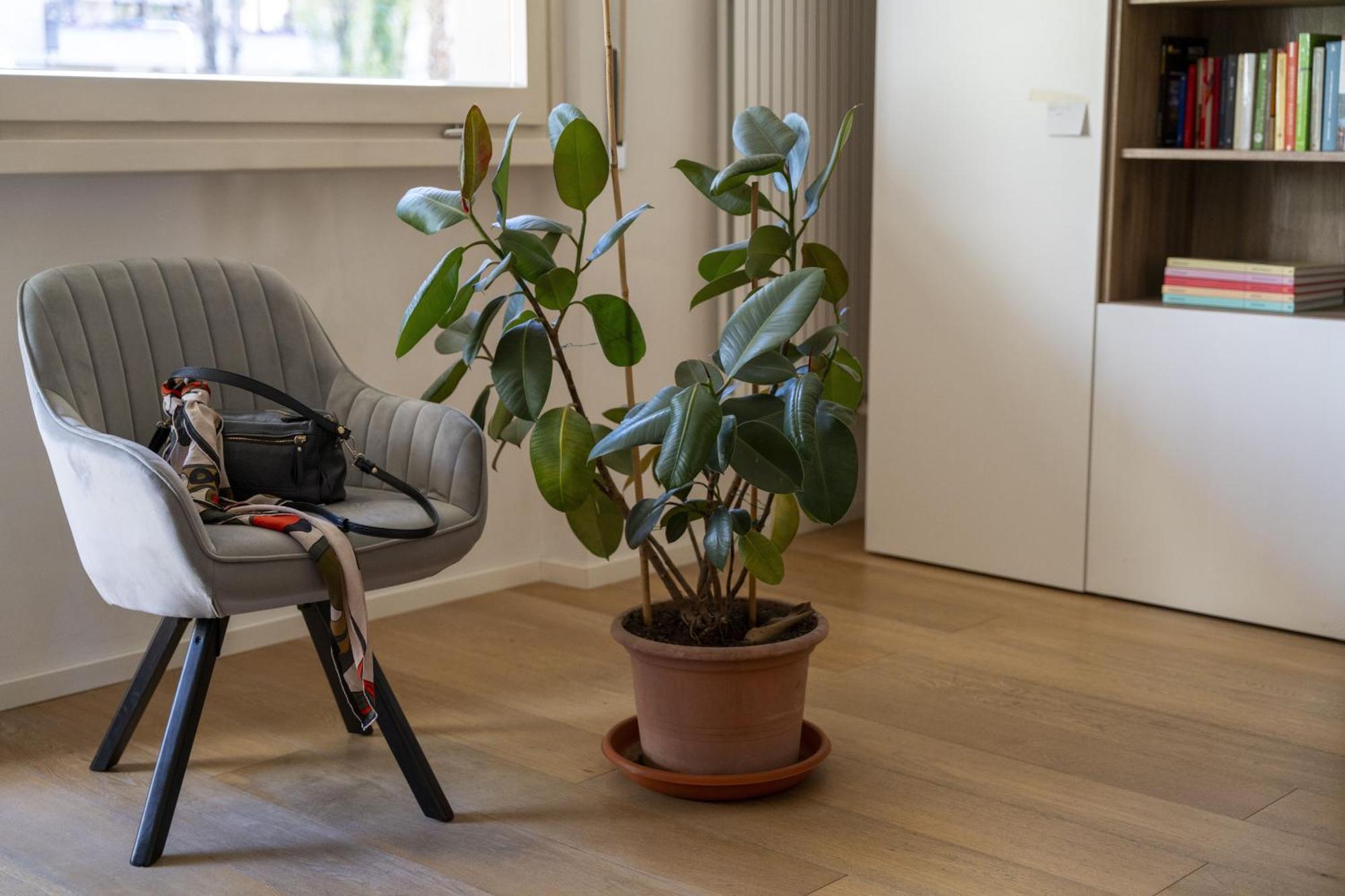 Danti Chic Apartman Firenze Kültér fotó